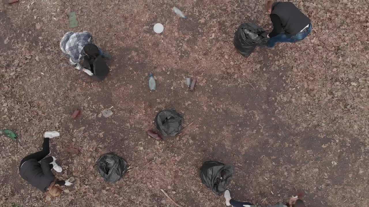 Stock Video Group Of Volunteers Lifting And Recycling Bottles Live Wallpaper For PC - Free Download