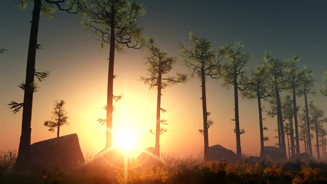 Free Video Stock Sun Rays Through A Line Of Trees Live Wallpaper - Free Download
