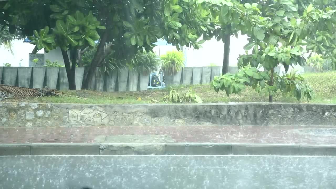 Stock Video Heavy Rain In The Street Sidewalk Animated Wallpaper - Free Download