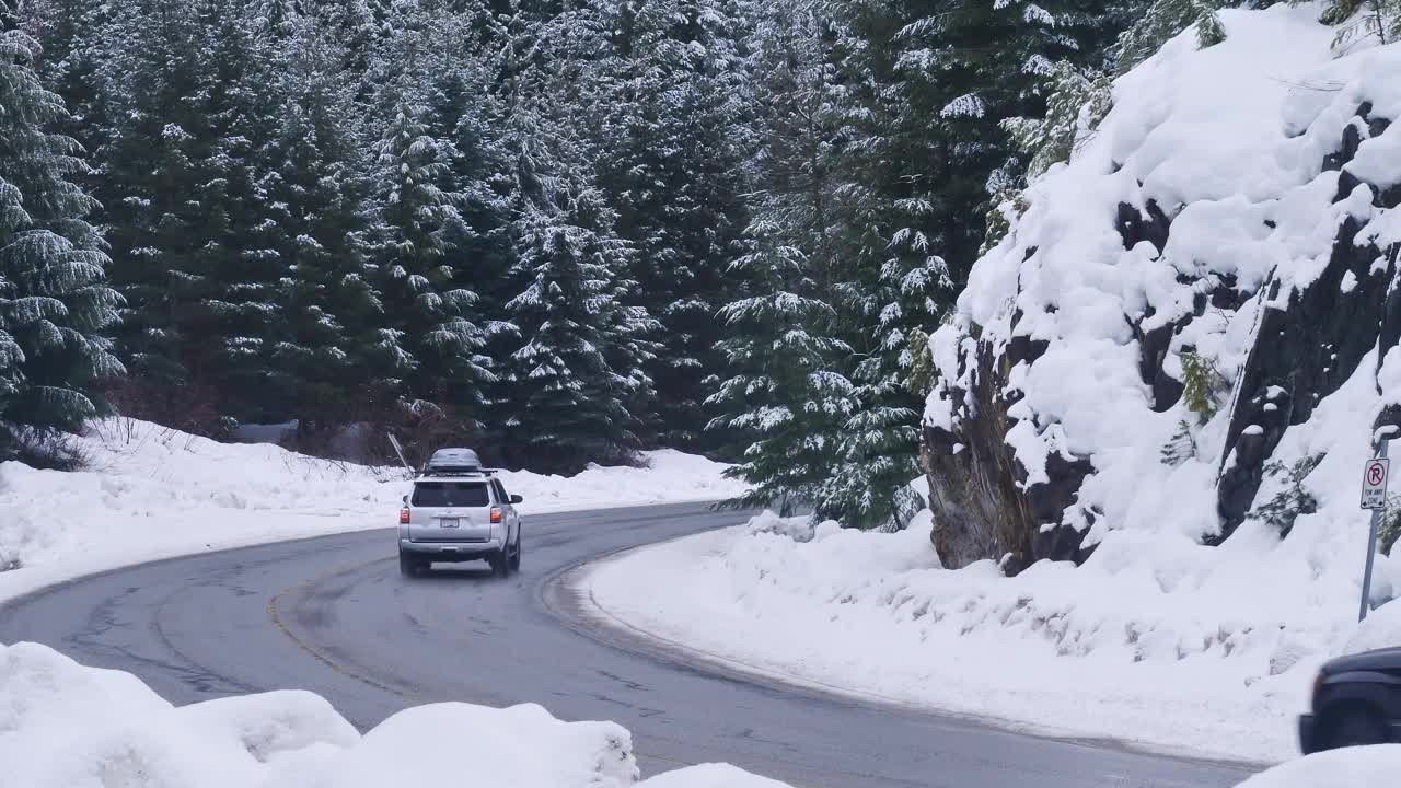Stock Video Curve On A Snowy Forest Road Live Wallpaper For PC - Free Download
