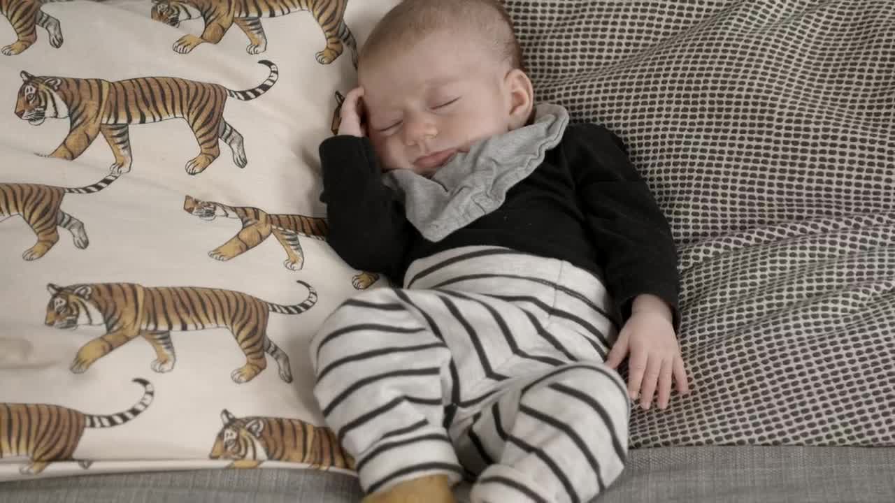 Stock Video Cute Baby Sleeping On A Couch Live Wallpaper For PC - Free Download
