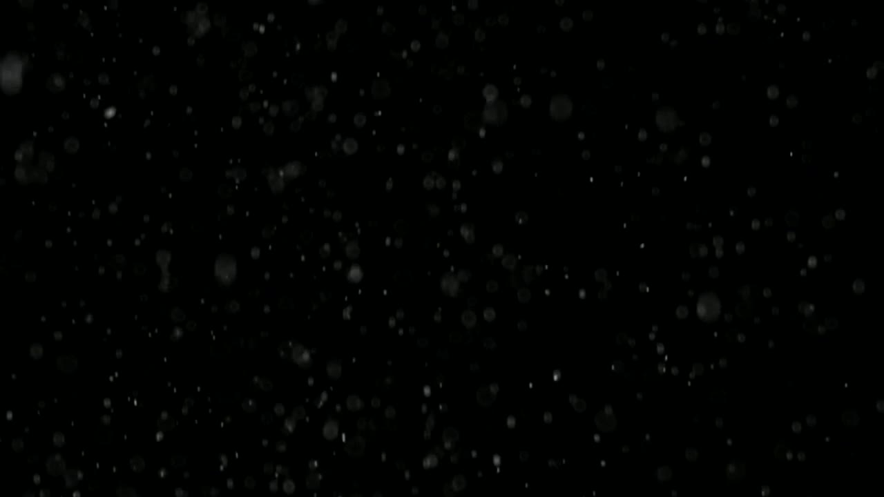 Free Video Stock Snow Falling Gently Live Wallpaper - Free Download