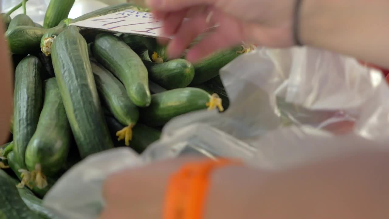Video Stock Putting Market Produce Into A Bag Live Wallpaper Free - Free Download