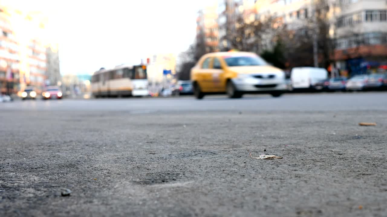 Video Stock Cars Driving Through A City Early In The Morning Live Wallpaper For PC - Free Download