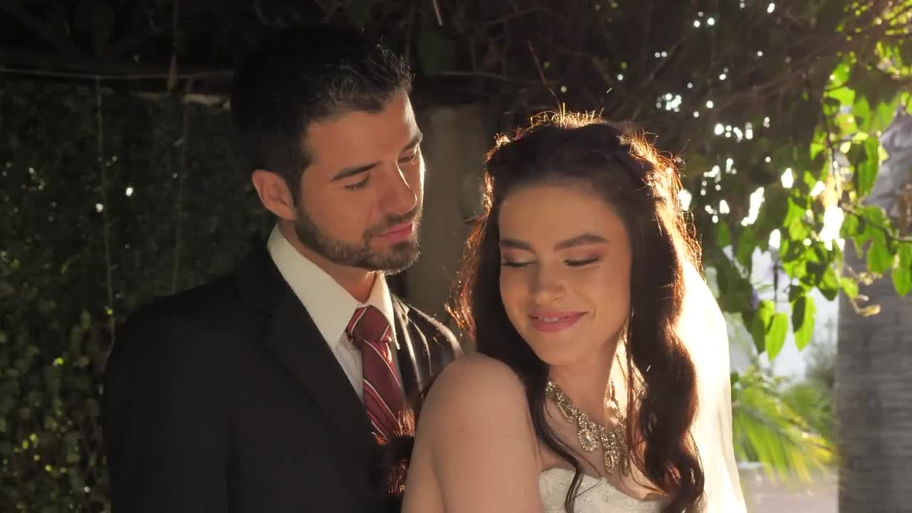 Stock Video Happy Newlyweds Posing Animated Wallpaper - Free Download