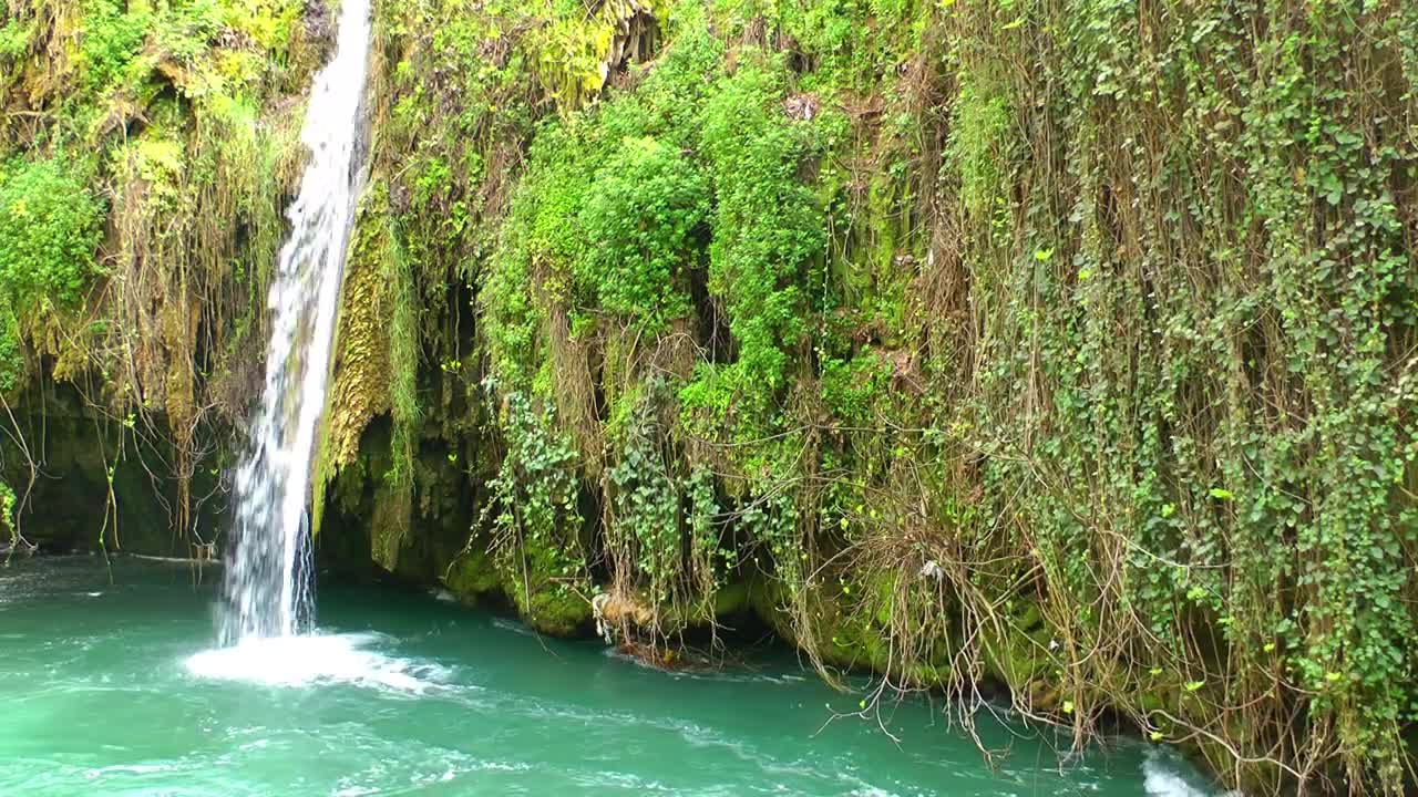 Stock Footage Waterfall In A Covered Cenote Vegetation Live Wallpaper - Free Download