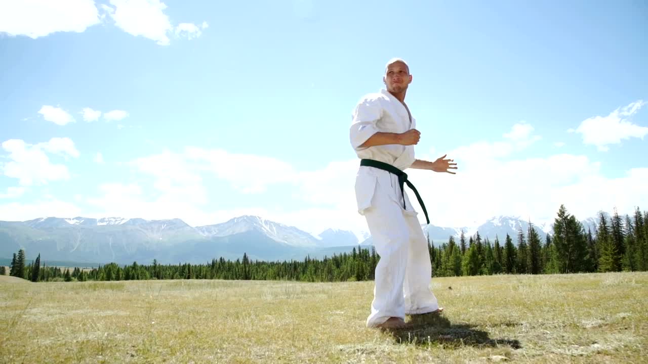 Stock Video Man Demonstrates Karate Kick In Outdoor Landscape Animated Wallpaper - Free Download