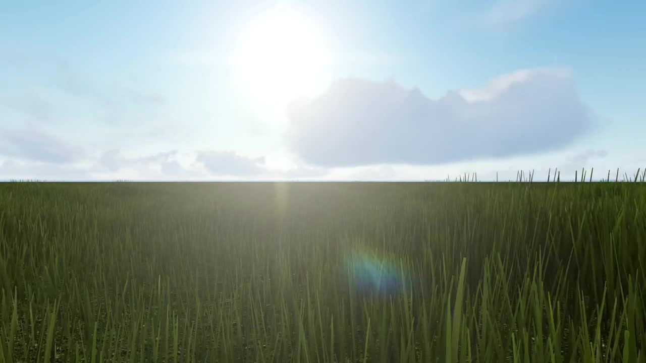 Stock Video Crossing A Meadow In Spring Live Wallpaper For PC - Free Download