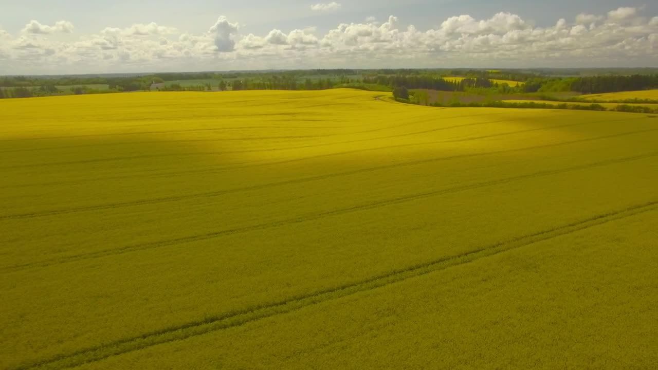 Free Video Stock Summer Fields Aerial Shot Live Wallpaper - Free Download