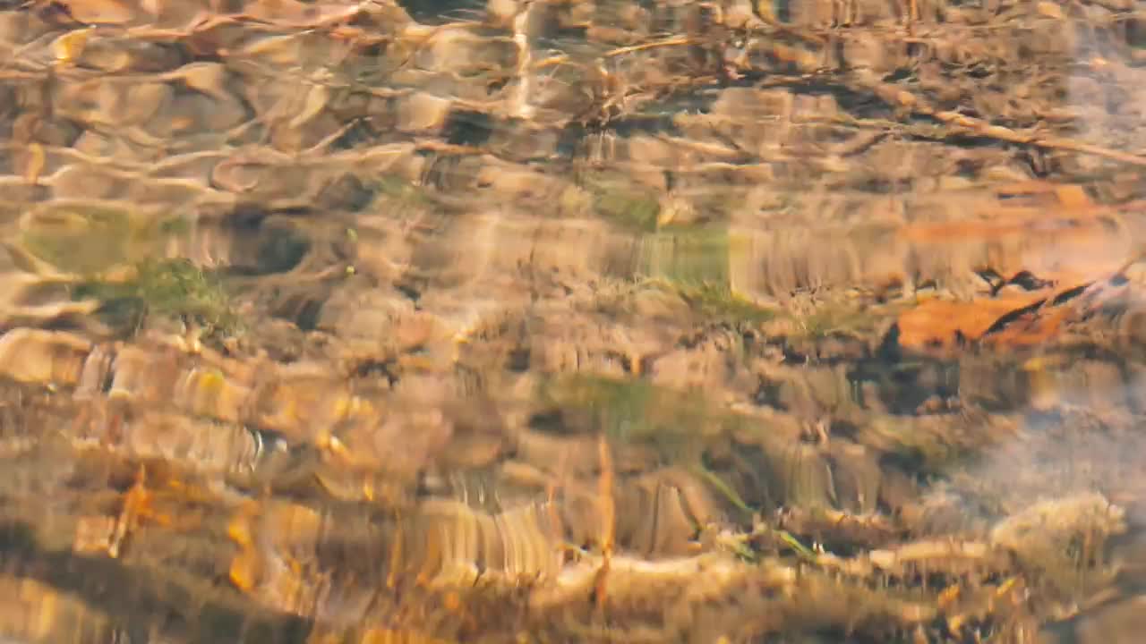Free Video Stock Stones Underwater In Creek Live Wallpaper - Free Download