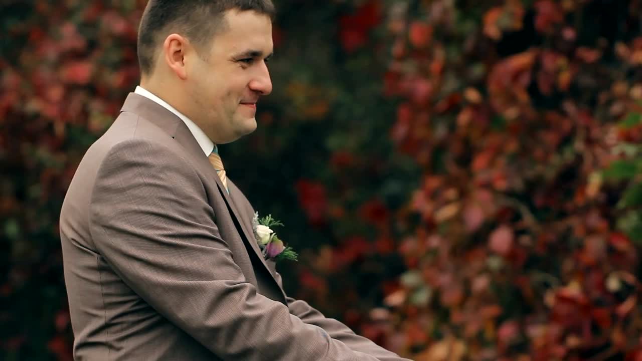 Stock Video Groom And Bride Kiss After Their Wedding Party Live Wallpaper For PC - Free Download