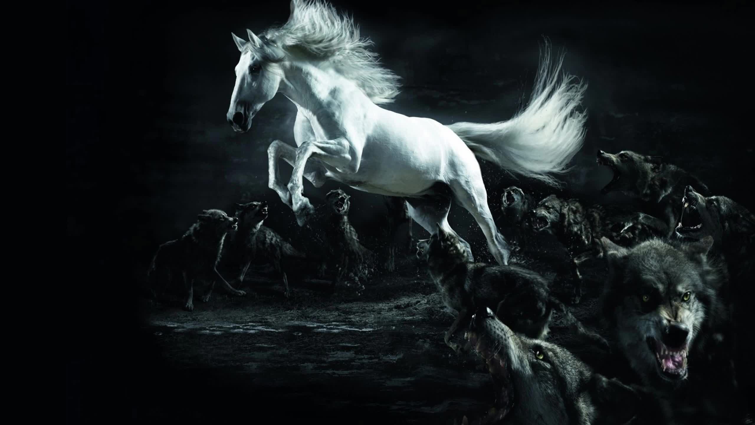 White  Horse  And  Wolves  2K  Live  Wallpaper - Free Download