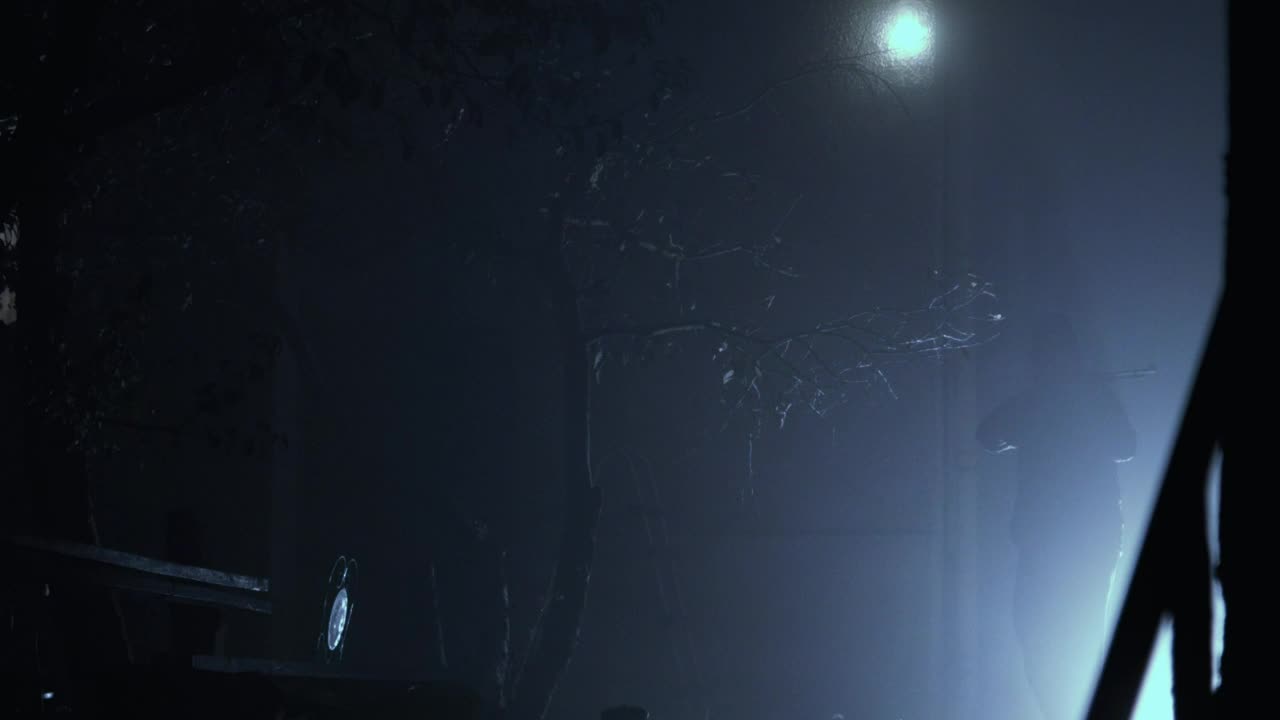 Free Stock Video Silhouette Of A Thief With A Shotgun In The Night Live Wallpaper - Free Download