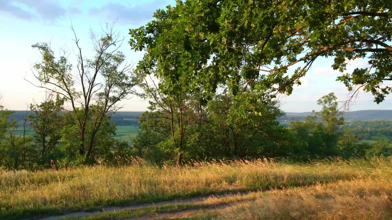 Free Stock Video Rural Road In The Grass Live Wallpaper - Free Download
