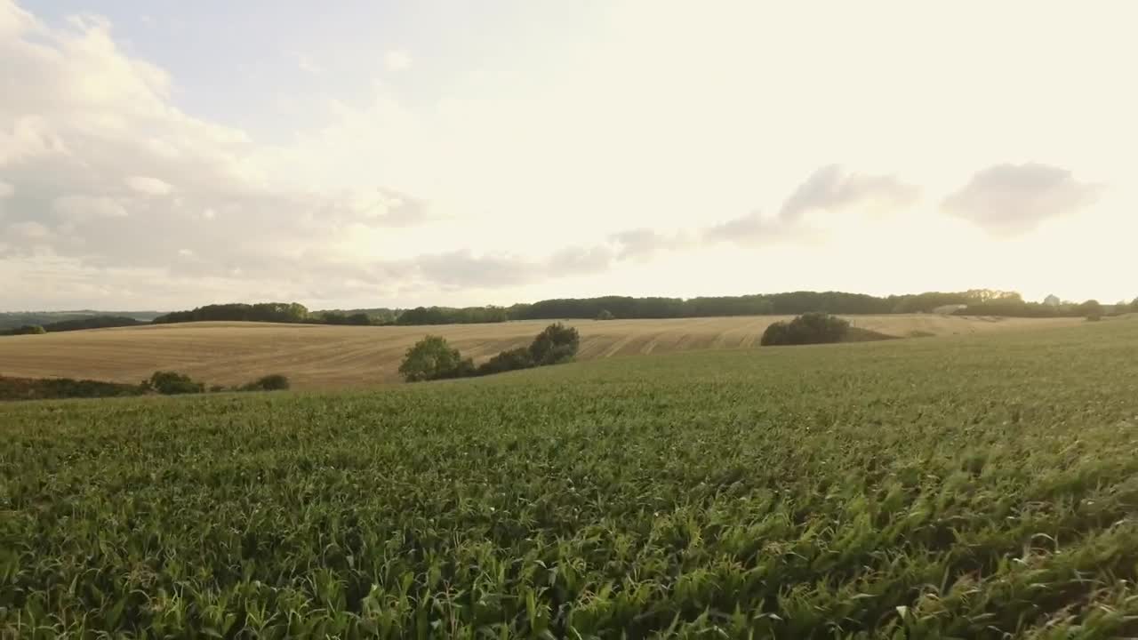 Stock Video Farmland During The Summer Months Live Wallpaper For PC - Free Download