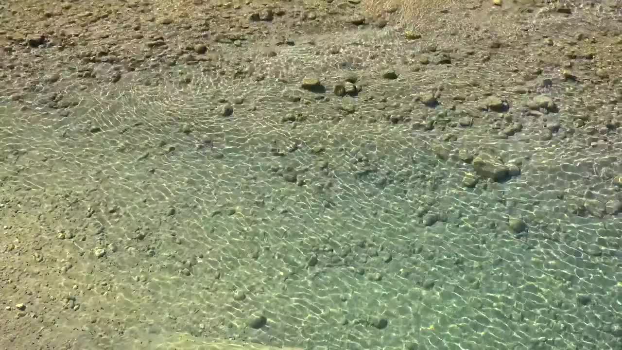 Stock Video Crystalline Water Reflections Live Wallpaper For PC - Free Download
