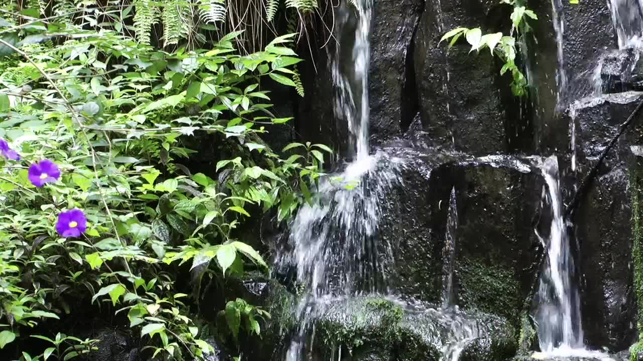 Stock Footage Waterfall On The Rocks In Nature Live Wallpaper - Free Download