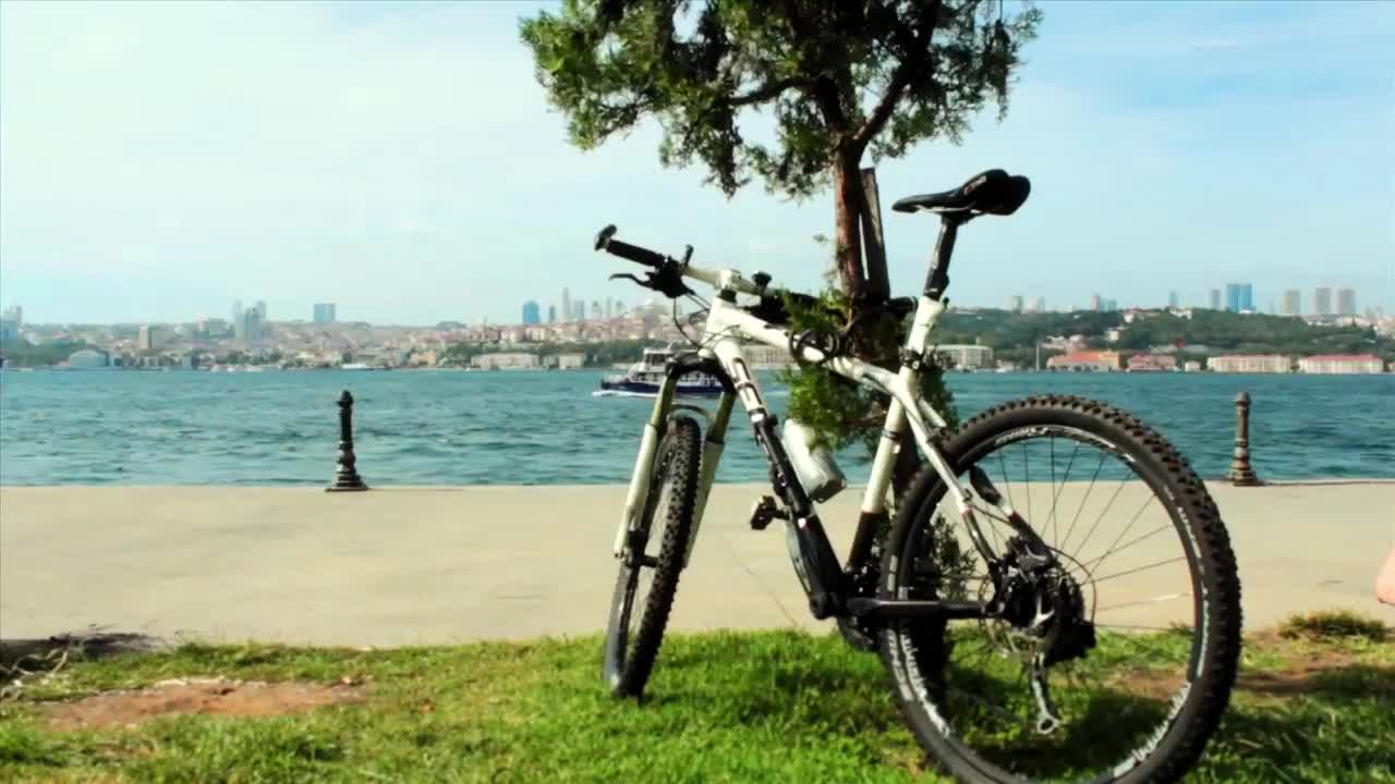 Stock Video Bicycle Parked In A Tree At The Edge Of A Live Wallpaper For PC - Free Download