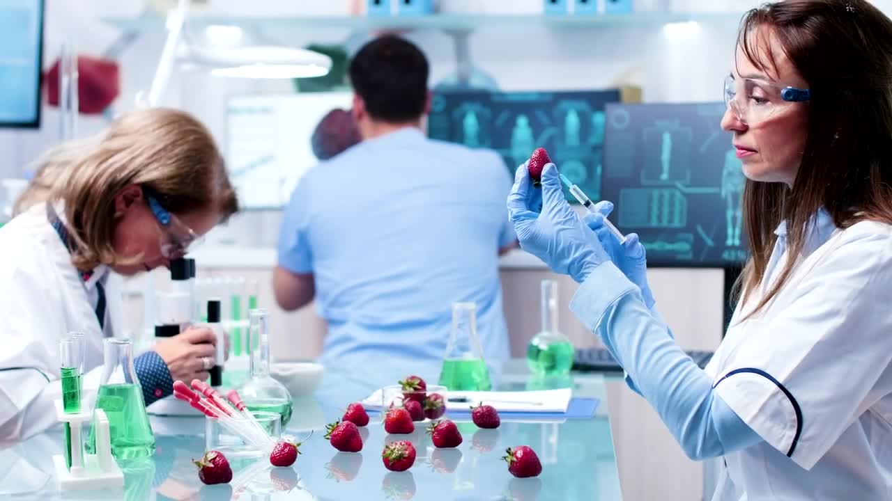Free Stock Video Scientist Injects Strawberry In Research Lab Live Wallpaper - Free Download
