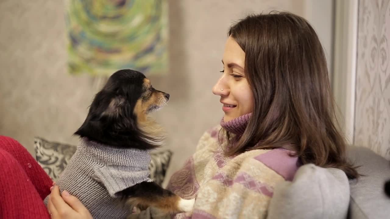 Free Stock Video Young Woman Smiles At Her Pet Live Wallpaper - Free Download