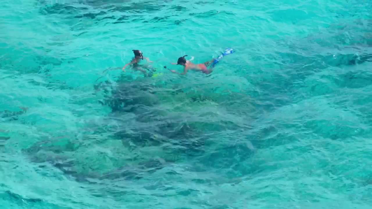 Stock Video Kids Snorkeling In Tropical Waters Animated Wallpaper - Free Download