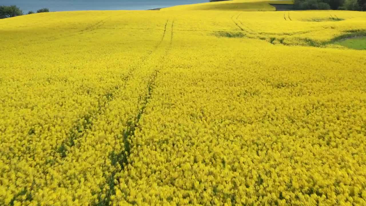 Video Stock Cloud Shadows Rolling Over A Field Live Wallpaper For PC - Free Download