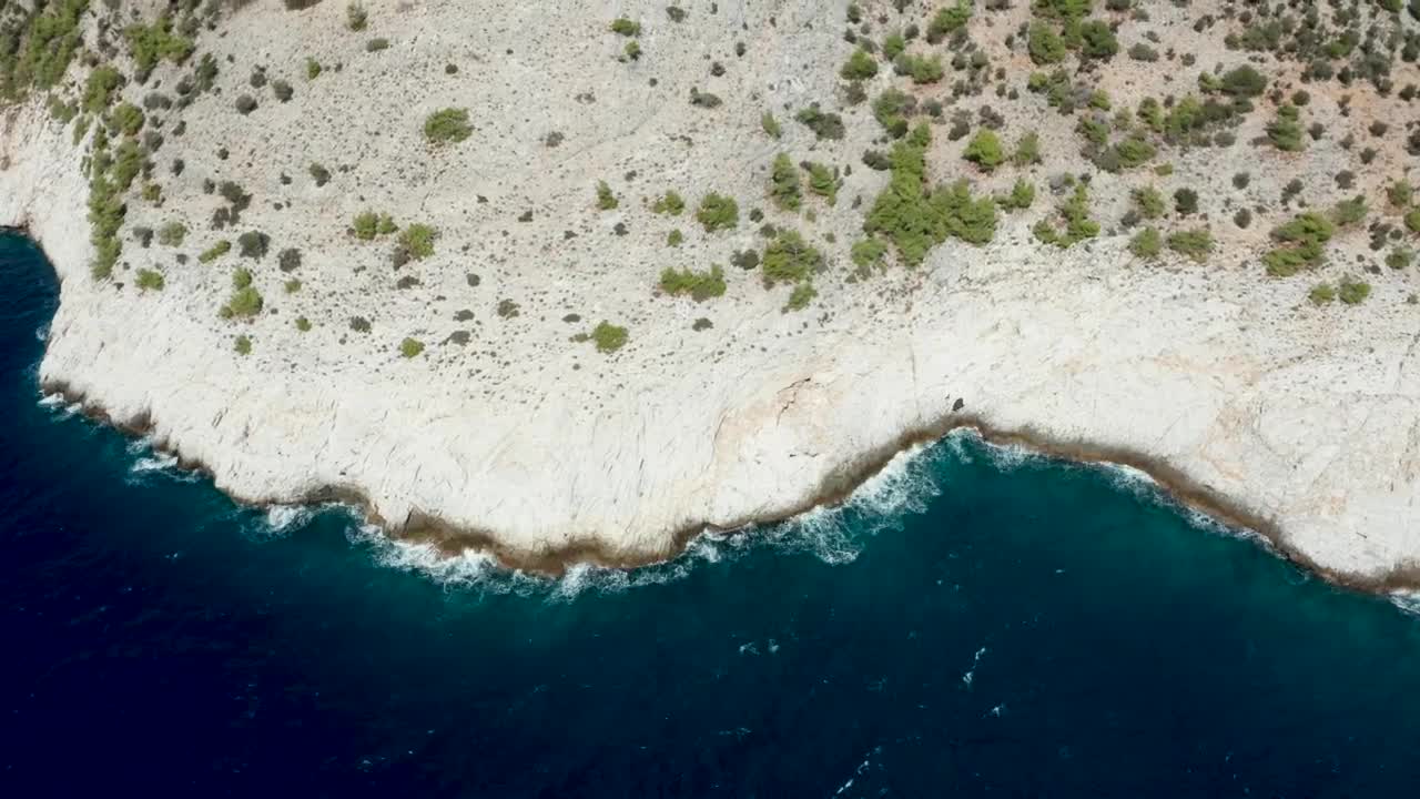 Stock Video Dry Plants Growing Along The Coast Live Wallpaper For PC - Free Download