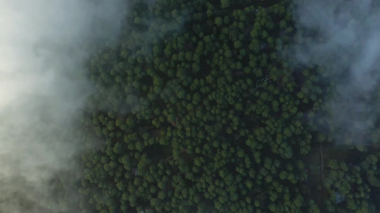 Free Stock Video View Above The Clouds That Cover A Large Forest Live Wallpaper - Free Download
