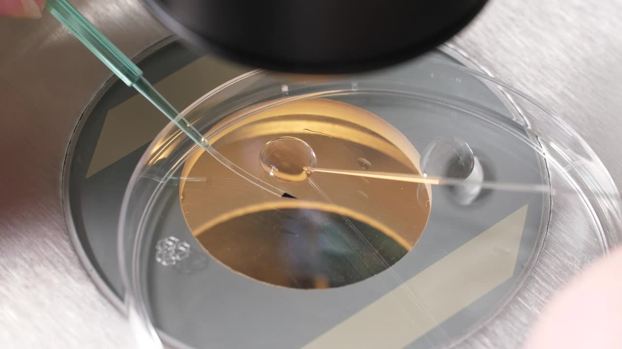 Free Stock Video Researcher Using A Microscope Live Wallpaper - Free Download