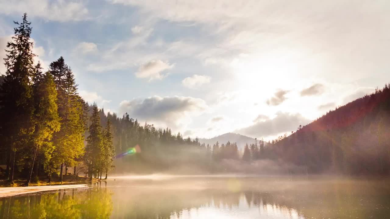 Stock Video Lagoon In The Middle Of A Pine Forest Animated Wallpaper - Free Download
