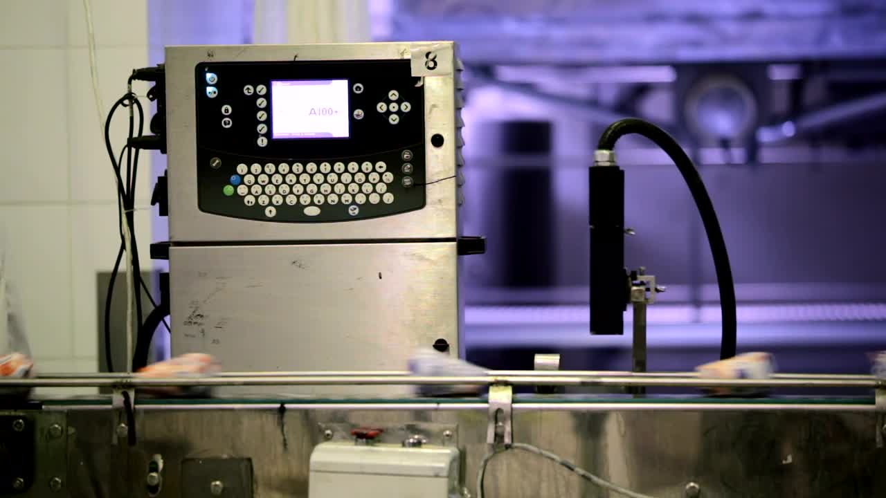 Stock Video Conveyor Inside A Factory Live Wallpaper For PC - Free Download