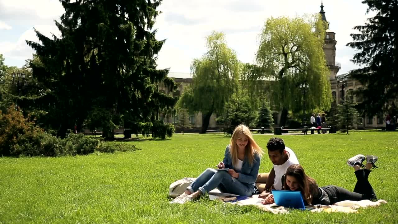 Stock Video Diverse Unversity Students Study On Grass Live Wallpaper For PC - Free Download