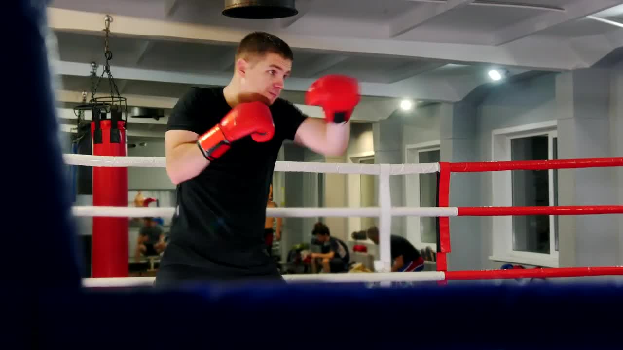 Free Stock Video Young Boxer Training Hard On A Ring Live Wallpaper - Free Download