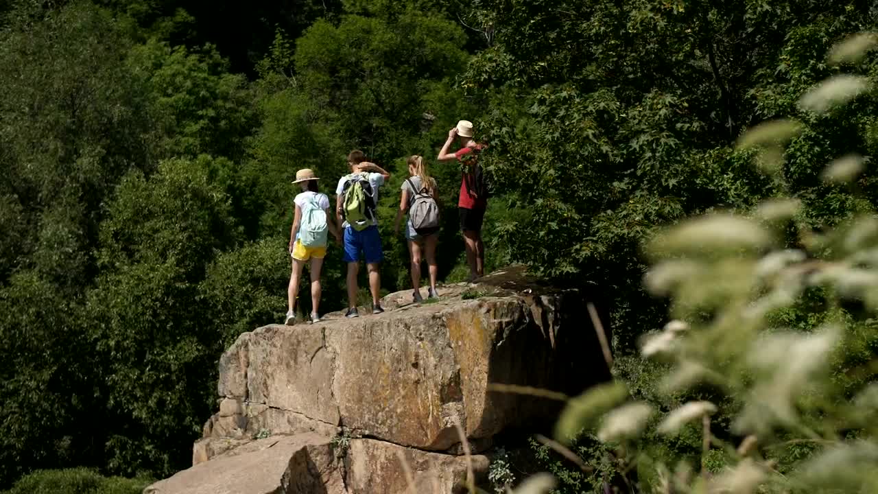 Stock Video Hiking Group Reaching Their Goal Animated Wallpaper - Free Download