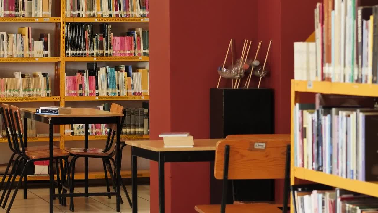 Stock Video Lonely Library Seen Carefully And In Detail Animated Wallpaper - Free Download