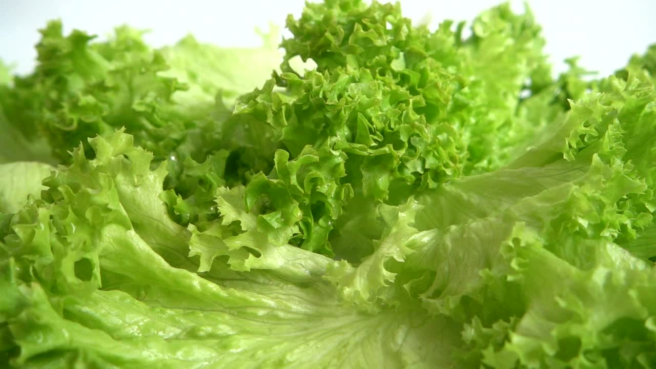 Stock Video Fresh Ingredients For Salad In Detail Live Wallpaper For PC - Free Download