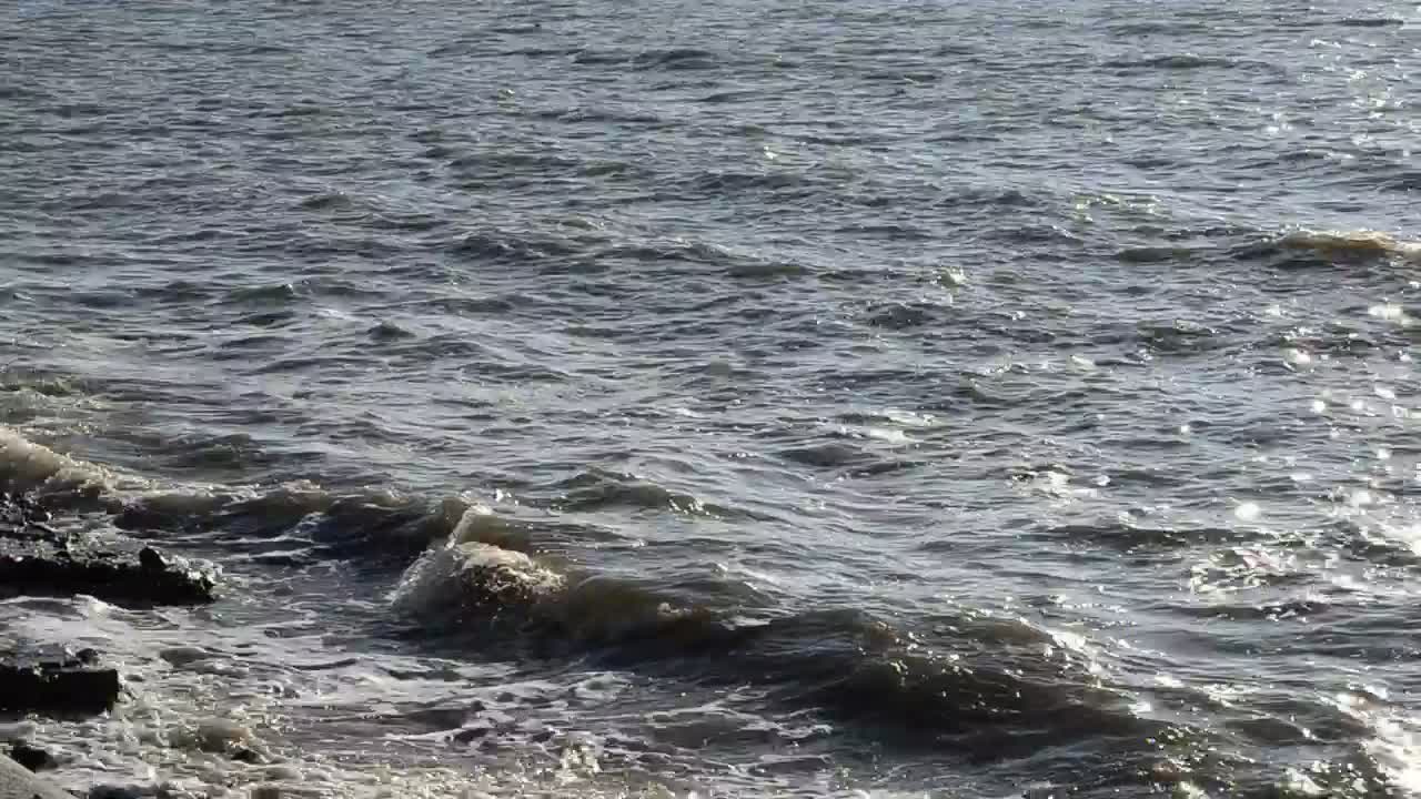 Stock Video Dark Waters Along The Shore Live Wallpaper For PC - Free Download