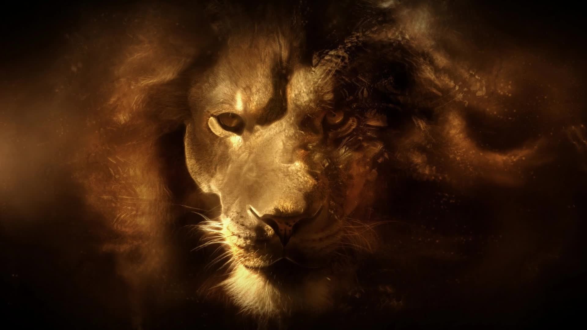 Lion  Head  Fantasy  Dust  Live  Wallpaper - Free Download