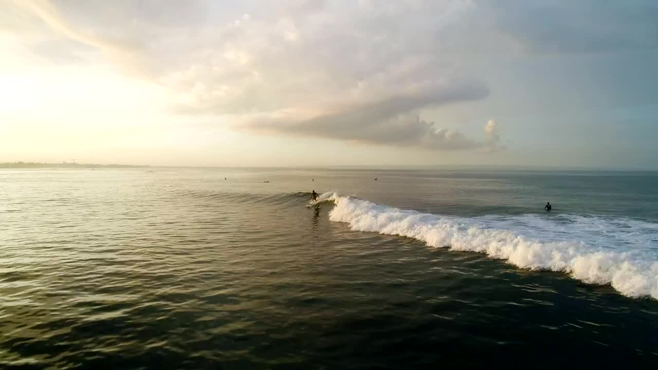 Free Video Stock surfer in action in the sea Live Wallpaper - Free Download