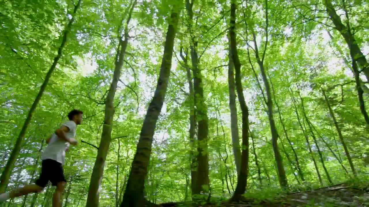 Stock Video Man Jogging Through Woodlan Animated Wallpaper - Free Download