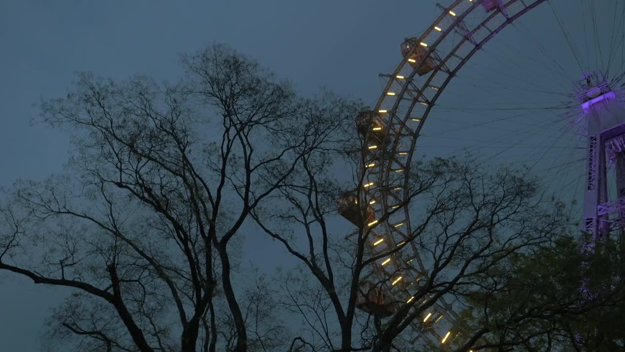 Stock Video Lights Around A Ferris Wheel Animated Wallpaper - Free Download