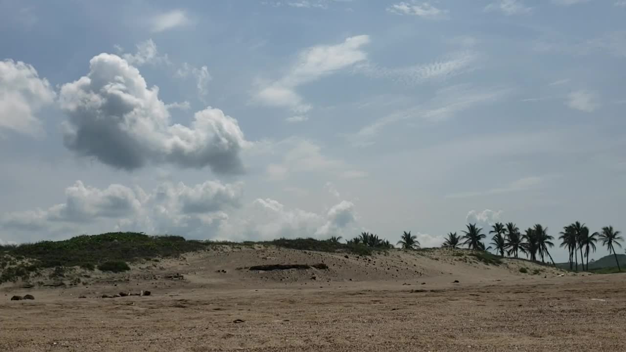 Video Stock Clouds In The Sky Over Beach Palms Live Wallpaper For PC - Free Download