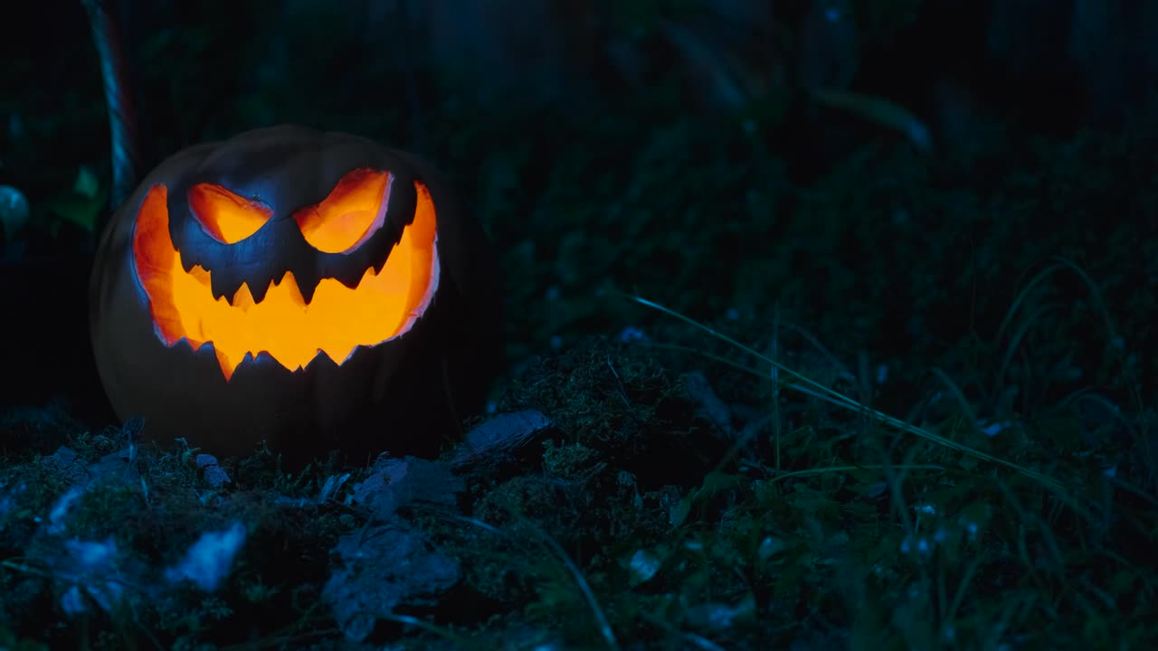 Stock Video Halloween Pumpkin In The Garden Live Wallpaper For PC - Free Download