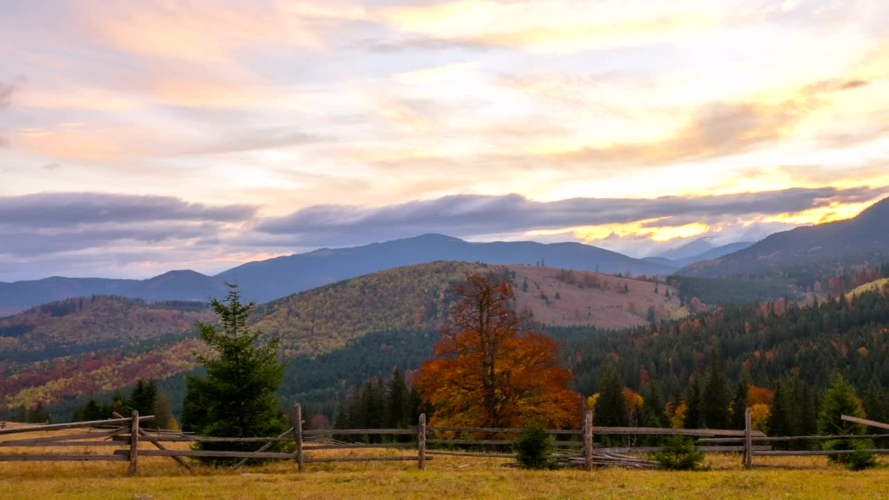 Stock Video Mountain And Forest Illuminates With Sunset Live Wallpaper - Free Download