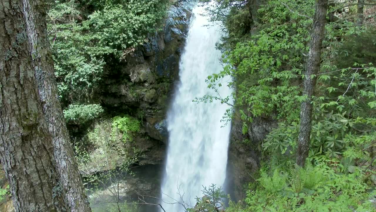 Stock Footage Waterfall In The Woods Live Wallpaper - Free Download