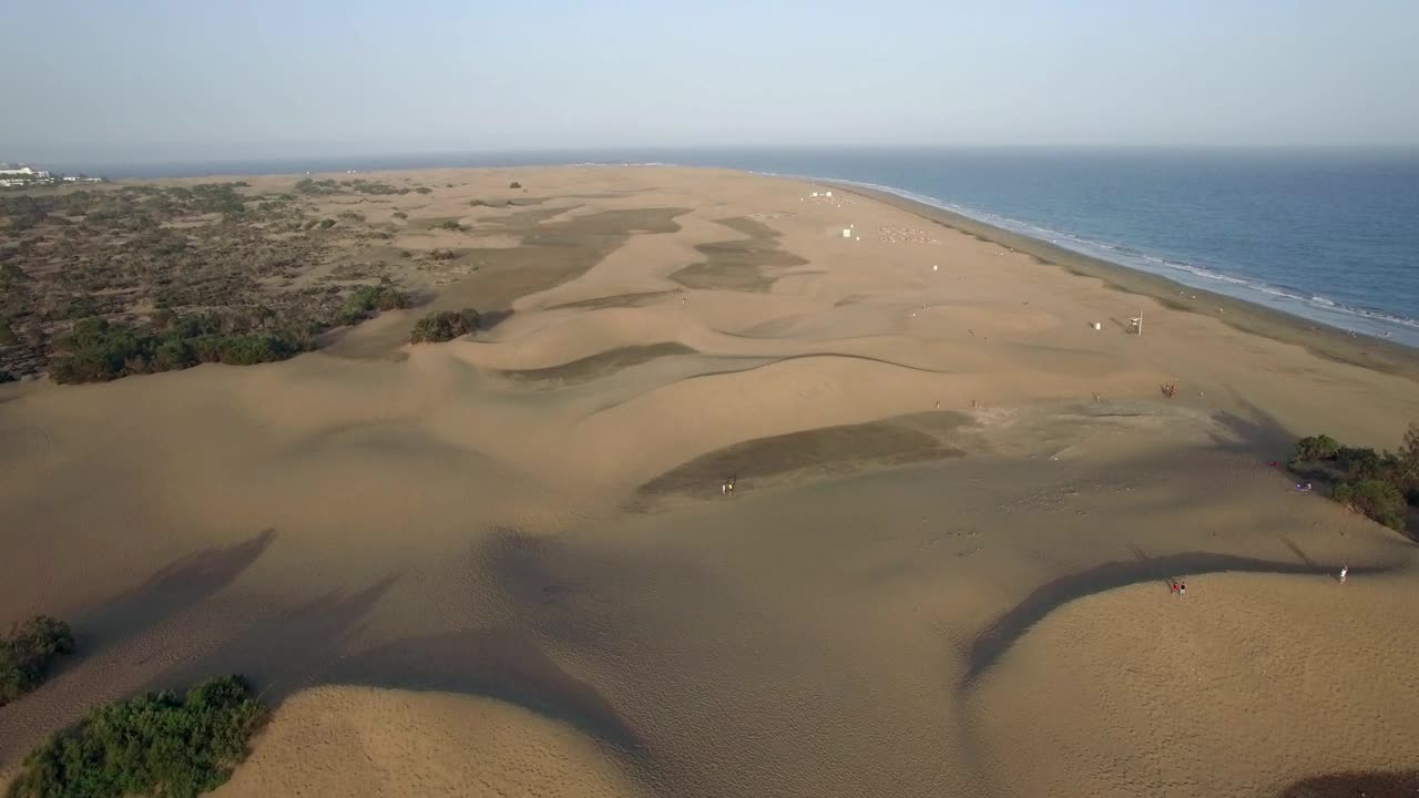 Stock Video Golden Sand Leading To The Ocean Live Wallpaper For PC - Free Download