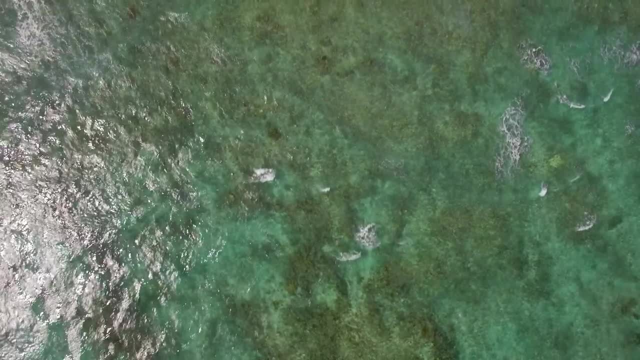 Free Stock Video Shallow Waters Leading To The Deep Ocean Live Wallpaper - Free Download