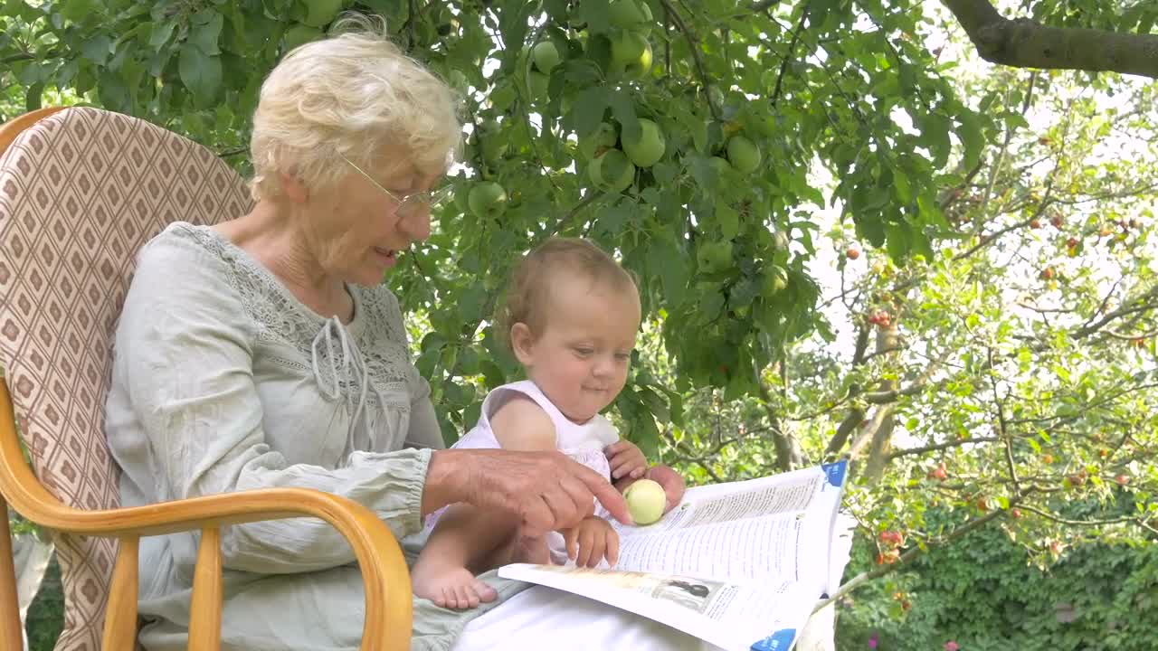 Stock Video Grandma Reads Book To Baby Under Apple Tree Live Wallpaper For PC - Free Download