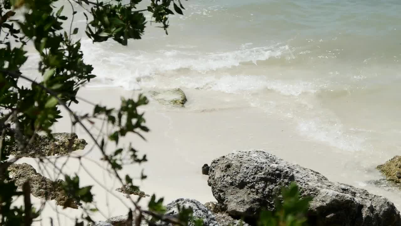 Stock Video Gentle Waves On The Beach And A Rock Live Wallpaper For PC - Free Download