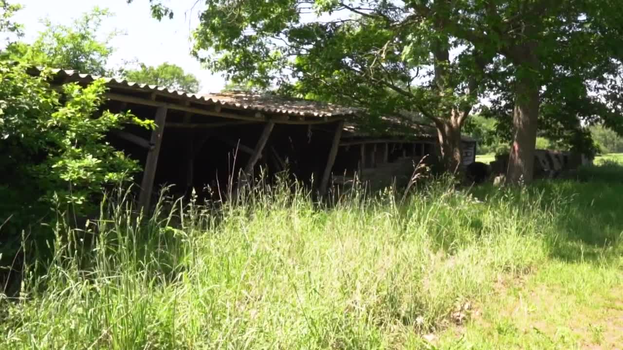 Stock Video Old Abandoned Cabin Destroyed By Time Live Wallpaper - Free Download